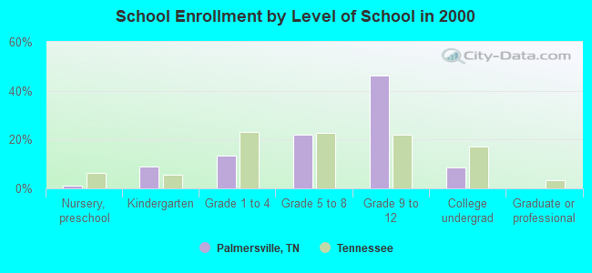 School Enrollment by Level of School in 2000