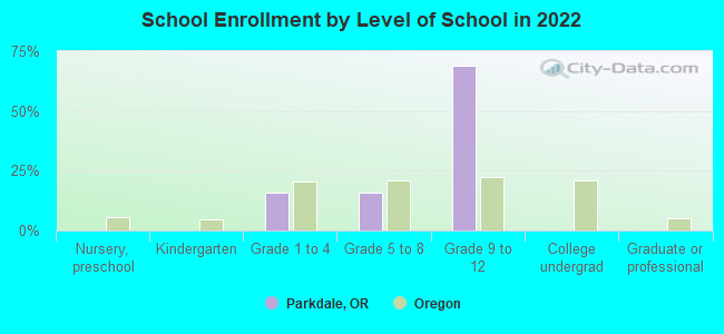 student demographics for parkdale high school