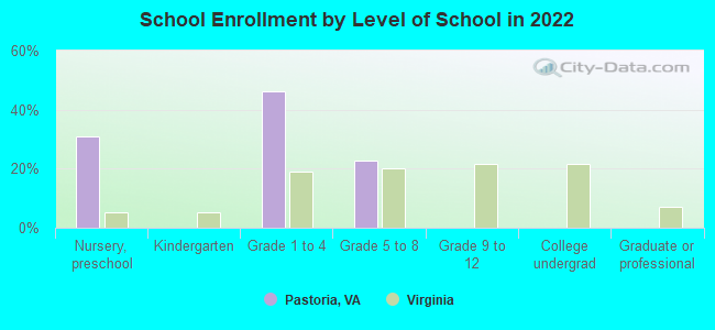 School Enrollment by Level of School in 2022