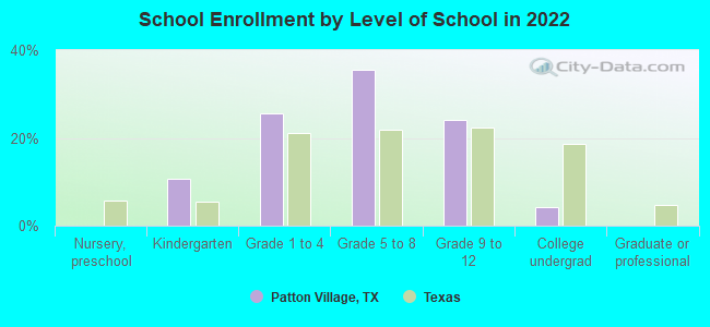 School Enrollment by Level of School in 2022