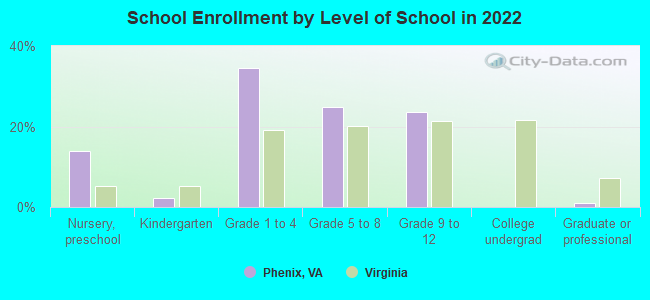 School Enrollment by Level of School in 2022