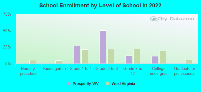 School Enrollment by Level of School in 2022