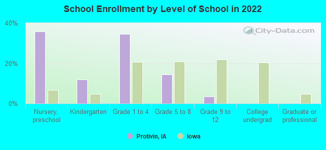 School Enrollment by Level of School in 2022