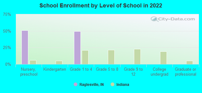 School Enrollment by Level of School in 2022