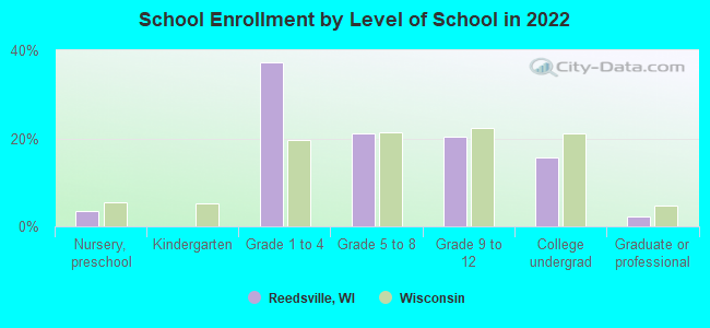 School Enrollment by Level of School in 2022