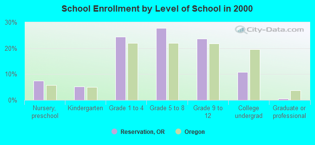 School Enrollment by Level of School in 2000