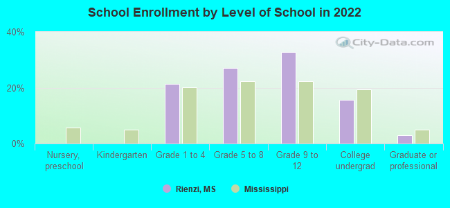 School Enrollment by Level of School in 2022