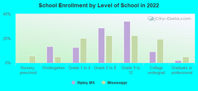 School Enrollment by Level of School in 2022