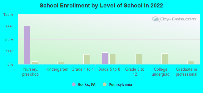 School Enrollment by Level of School in 2022