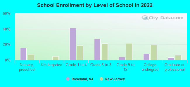 School Enrollment by Level of School in 2022