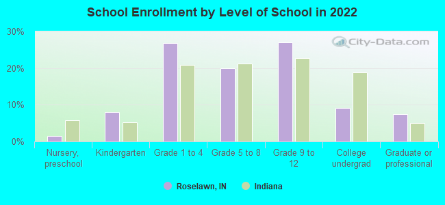 School Enrollment by Level of School in 2022