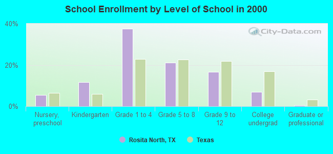 School Enrollment by Level of School in 2000