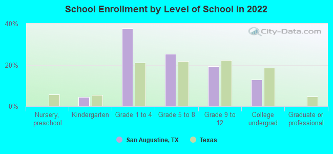 School Enrollment by Level of School in 2022