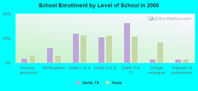 School Enrollment by Level of School in 2000