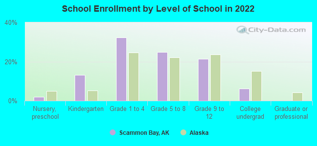 School Enrollment by Level of School in 2022