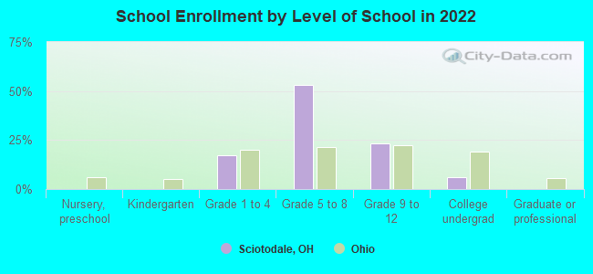 School Enrollment by Level of School in 2022