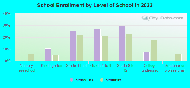 School Enrollment by Level of School in 2022