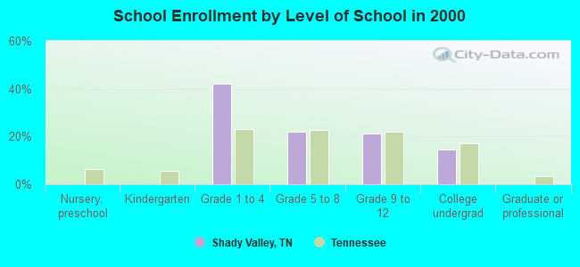 School Enrollment by Level of School in 2000