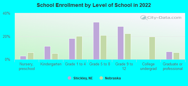 School Enrollment by Level of School in 2022