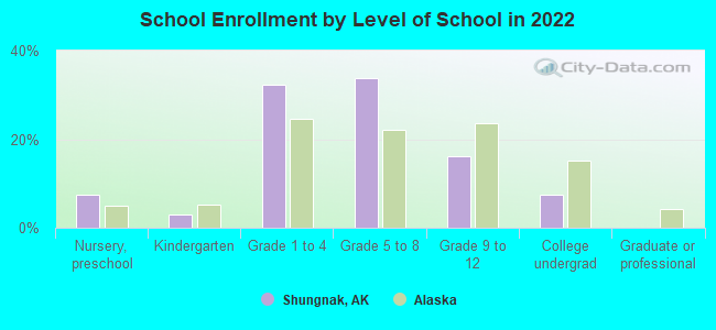 School Enrollment by Level of School in 2022