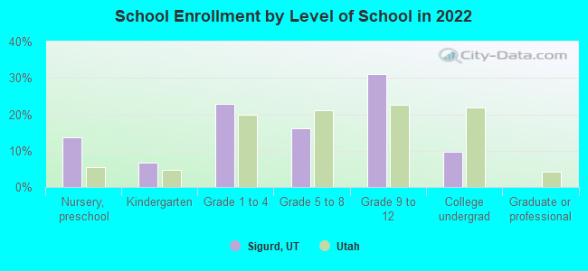 School Enrollment by Level of School in 2022