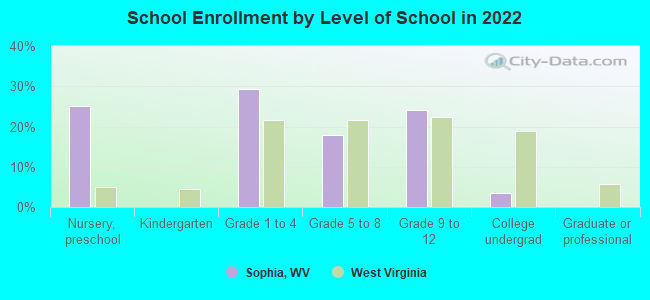 School Enrollment by Level of School in 2022