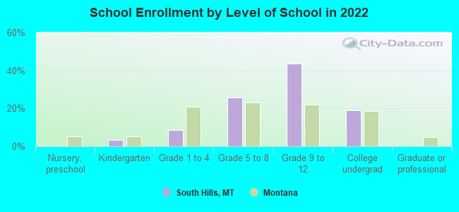 School Enrollment by Level of School in 2022