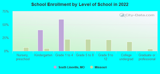 School Enrollment by Level of School in 2022