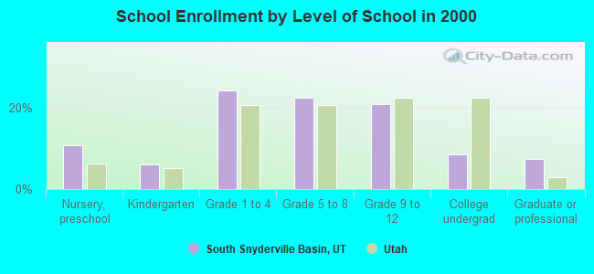 School Enrollment by Level of School in 2000