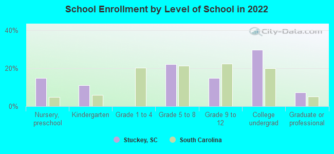 School Enrollment by Level of School in 2022