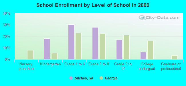 School Enrollment by Level of School in 2000