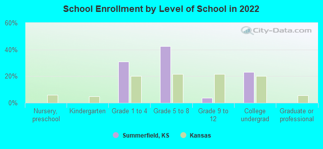 School Enrollment by Level of School in 2022