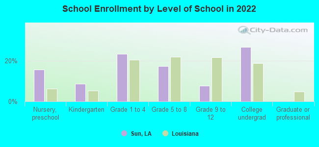 School Enrollment by Level of School in 2022