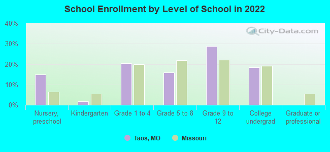 School Enrollment by Level of School in 2022