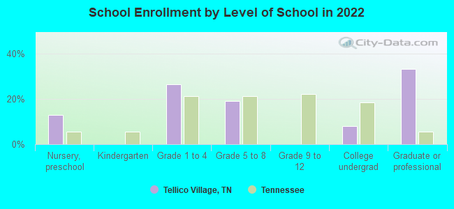 School Enrollment by Level of School in 2022