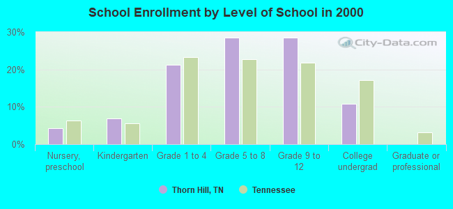 School Enrollment by Level of School in 2000