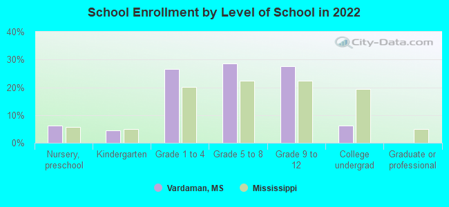 School Enrollment by Level of School in 2022