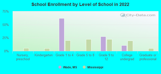 School Enrollment by Level of School in 2022