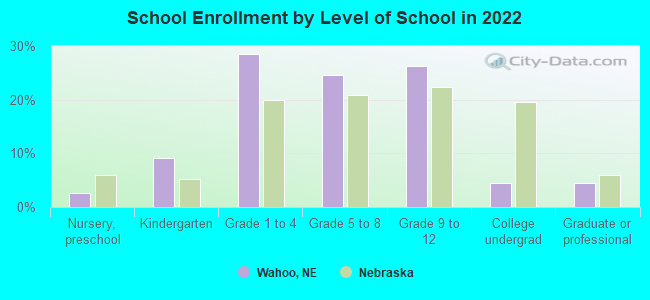 School Enrollment by Level of School in 2022