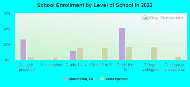 School Enrollment by Level of School in 2022