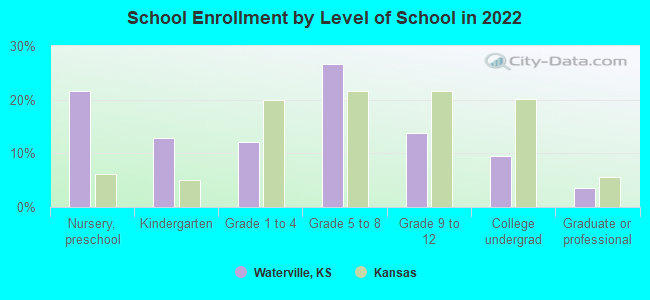 School Enrollment by Level of School in 2022