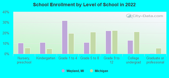 School Enrollment by Level of School in 2022