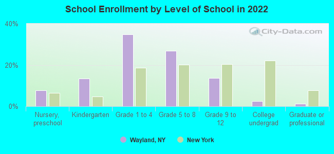 School Enrollment by Level of School in 2022