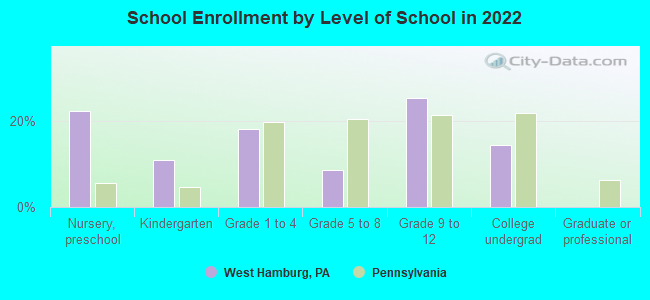 School Enrollment by Level of School in 2022