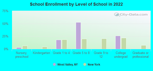 School Enrollment by Level of School in 2022