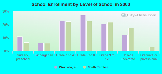 School Enrollment by Level of School in 2000