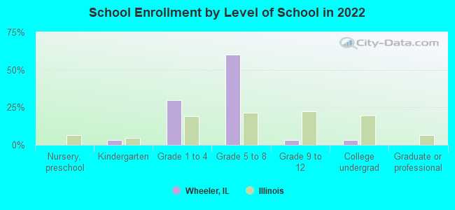 School Enrollment by Level of School in 2022