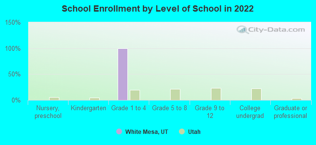 School Enrollment by Level of School in 2022