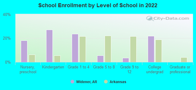 School Enrollment by Level of School in 2022