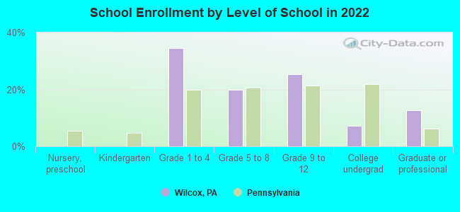 School Enrollment by Level of School in 2022